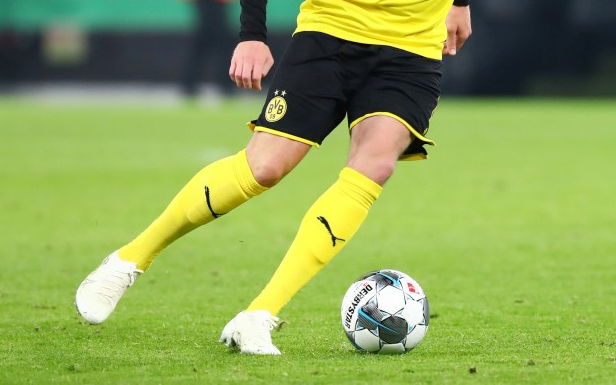 Spielerprofil: Lion Semic