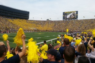 College football - professionals or amateurs?