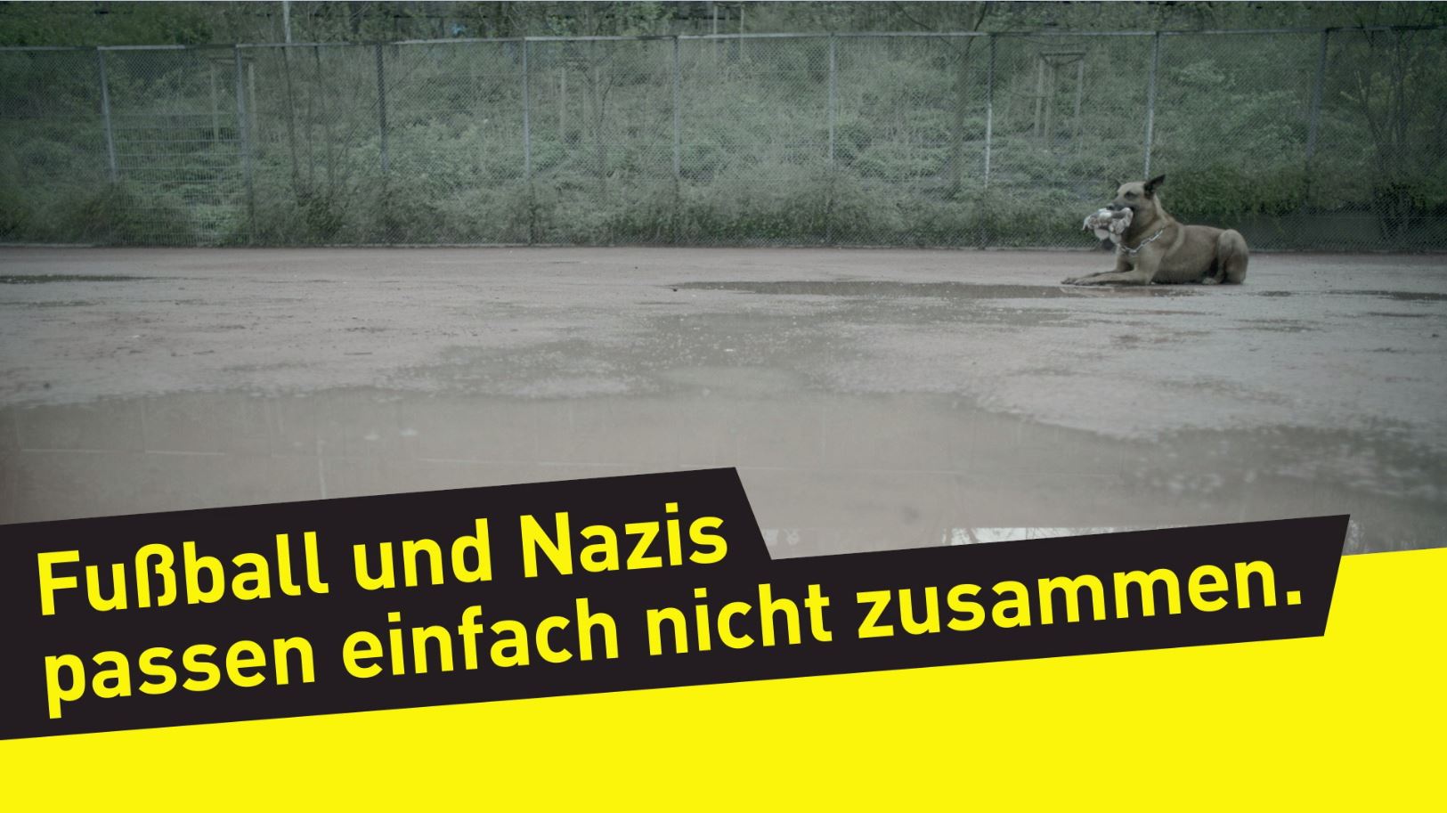 BVB produziert Film gegen Rassismus