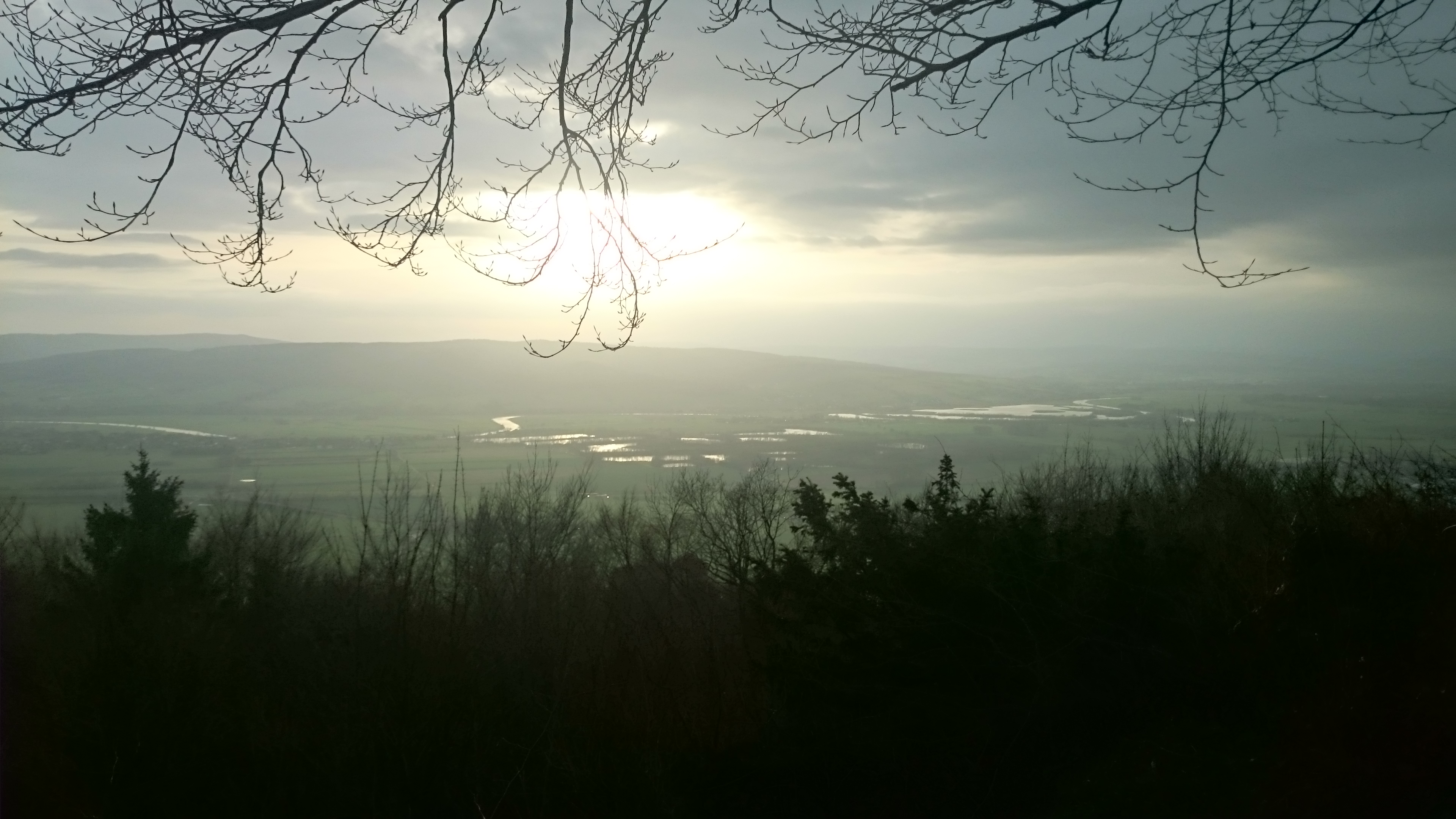 Im Nebel der Weser