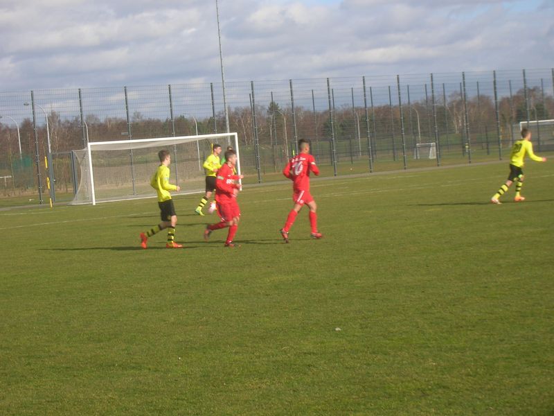 BVB U17 - RWE