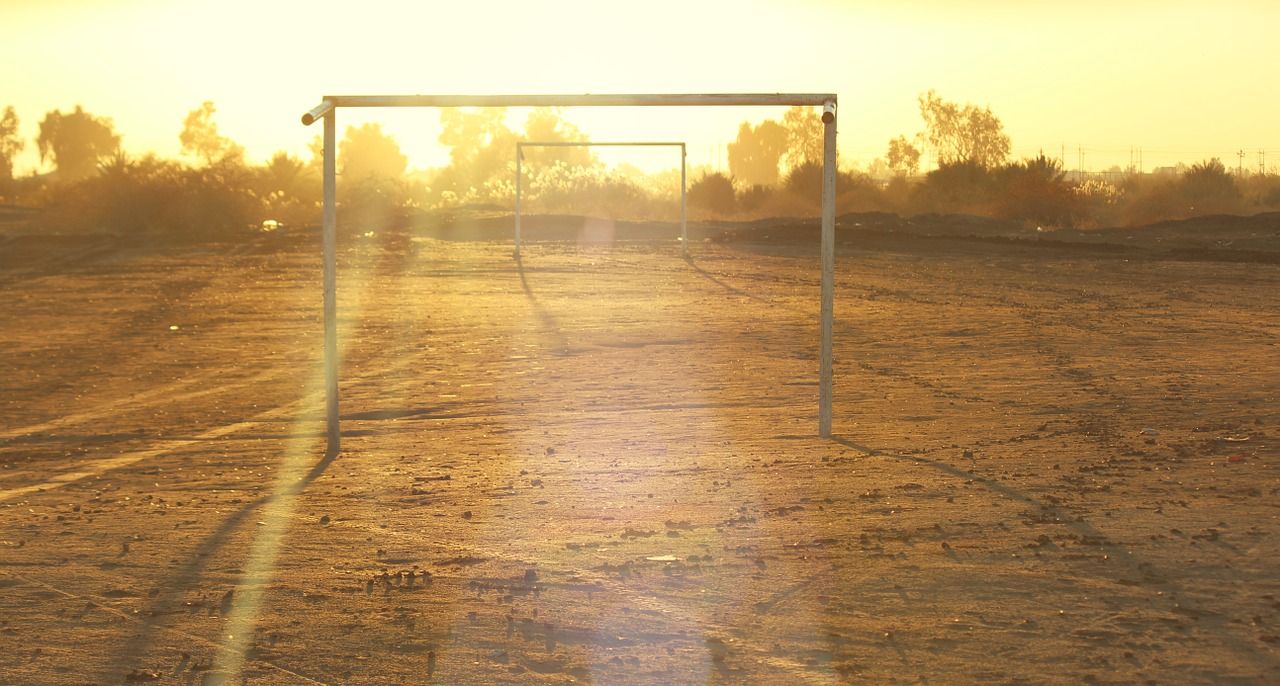 Fußball-Bücher für die Sommerpause 2015!
