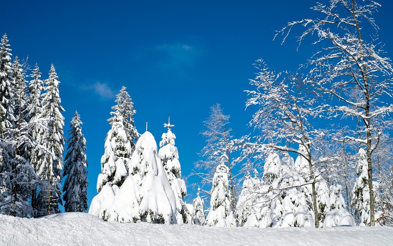​Ein Spaziergang mit Hans-Joachim W.